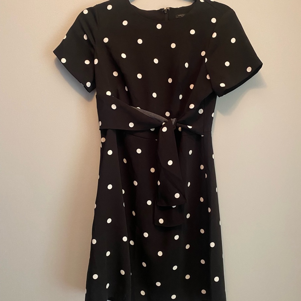 Ann Taylor | Polka Dot Dress